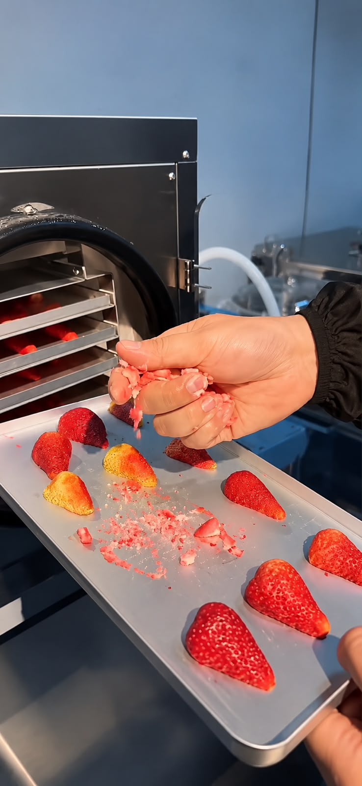 Liofilizadora para Alimentos de 0.4 m³ - Imagen 5